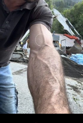 TheHandyman — escort gallery photo 4