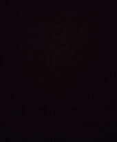 Toyboy699 - escort profile photo